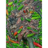 Mắm mực nguyên chất hủ - Hủ 500gr