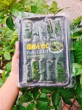 Chả Ốc Cuốn Lá Lốt - Khay  10 Cuốn