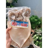 Mực Một Nắng Hút Chân Không - Túi 1Kg