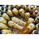 Trà Mãng Cầu Xiêm Chai 1 Lít