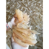Sứa Biển - 1Kg luôn nước thit bên trong 400g