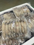 Mực trứng 15-20 con net 7