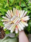 Set Sữa Chua Dẻo Sốt Trái Cây Tươi Mix 10 Vị