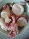 Mực Trứng- Khay 1Kg