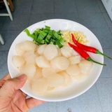 Cồi sò điệp Nhật size 60-80 bịch 1kg
