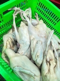 Vịt tươi con 1,1kg đên 1,5kg