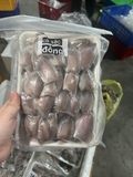 Cá sặc đồng 1 nắng khay 500g