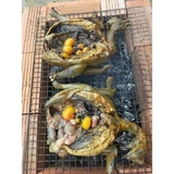 Gà Ác 1 Con 600-1kg