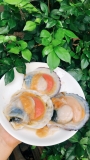 Sò Điệp Nhật Nguyên Con - Túi 1Kg