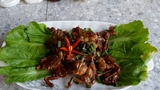 Ếch Làm Sach Da Nguyên Con Hàng Tươi Mới khay 500gr
