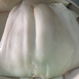 Thân Mực Đại Dương - Khay 1Kg