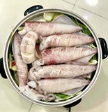 Mực Trứng- Khay 1Kg