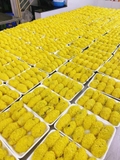 Xôi Gà Nấm Siêu To - Khay gần 800g
