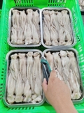 Đầu Mực Lá Đại Dương Tươi khay 500g