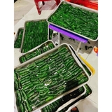 Bò Cuộn Lá Lốt - Khay 20 cuộn