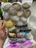 Bào ngư 1kg net 6 size 20 con