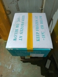 Còi áp chảo 20-25c/kg nét 8 ( còi ép )