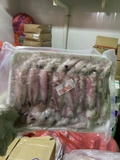 Mực Trứng- Khay 1Kg