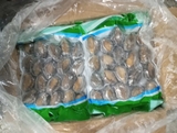 Bào Ngư Y.Fish - Túi 1Kg 18-20 con net 6