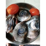 Mắt Cá Ngừ Đại Dương - Khay 1Kg