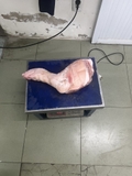 Chân giò SAU nguyên cái tươi câp đông 1kg