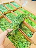 Rau Tiến Vua sấy khô 500g