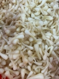 CỦ KIỆU HUẾ NGÂM CHUA NGỌT hủ 500g luôn 700g