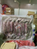 Mực Trứng- Khay 1Kg