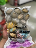 Bào ngư 1kg net 6 size 20 con