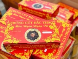 Hộp 25 trứng cút bắc thảo