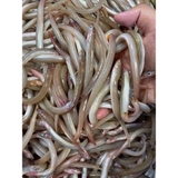 Cá Sùn Sịn - Túi 1kg