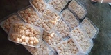 Còi Sò Điệp Việt Nam Hộp - Túi 500Gr