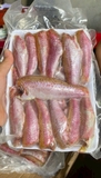 Cá phèn nguyên con 1 nắng làm sạch khay 500g