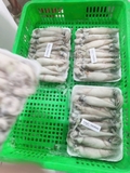 Mực trứng 15-20 con net 7
