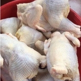 Gà Ri Nguyên Con Không Đầu Chưa Chế Biến từ 1kg đến 1,3kg