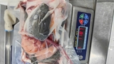 Bộ xương đầu vay cá hồi bịch 1kg