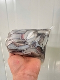 Dè mực nang nhỏ túi 1kg net 8