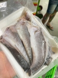 Cá lóc cửng 1 nắng vừa ăn 500gram