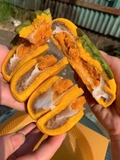 Bánh Bí Ngô hộp 500g