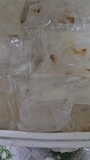 Chân Sứa Túi 500g luôn nước 1kg
