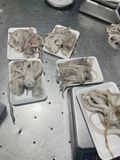 Đầu Mực Lá Đại Dương Tươi khay 500g