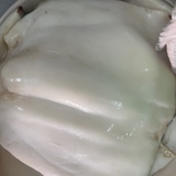 Thân Mực Đại Dương - Khay 1Kg