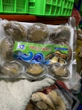Bào Ngư Hàn Quốc Size 8-10 Con - Túi 500Gr