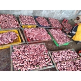Mực Hấp Thuyền Nghệ An - Khay 1kg