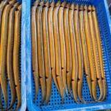 Lươn Hàng Mới Làm Sạch Chát Lượng 500gr