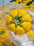 Bánh Bí Ngô hộp 500g