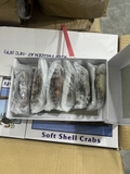 Cua lột size 6 con 1kg net 7