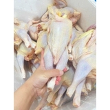 Gà Ri Nguyên Con Không Đầu Chưa Chế Biến từ 1kg đến 1,3kg