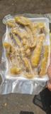 Hải Sâm Sịn Gai Vàng con To khay 500g