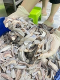 Dè mực nang nhỏ túi 1kg net 8